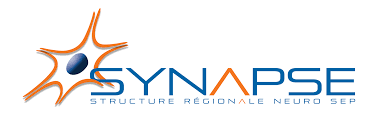 Synapse